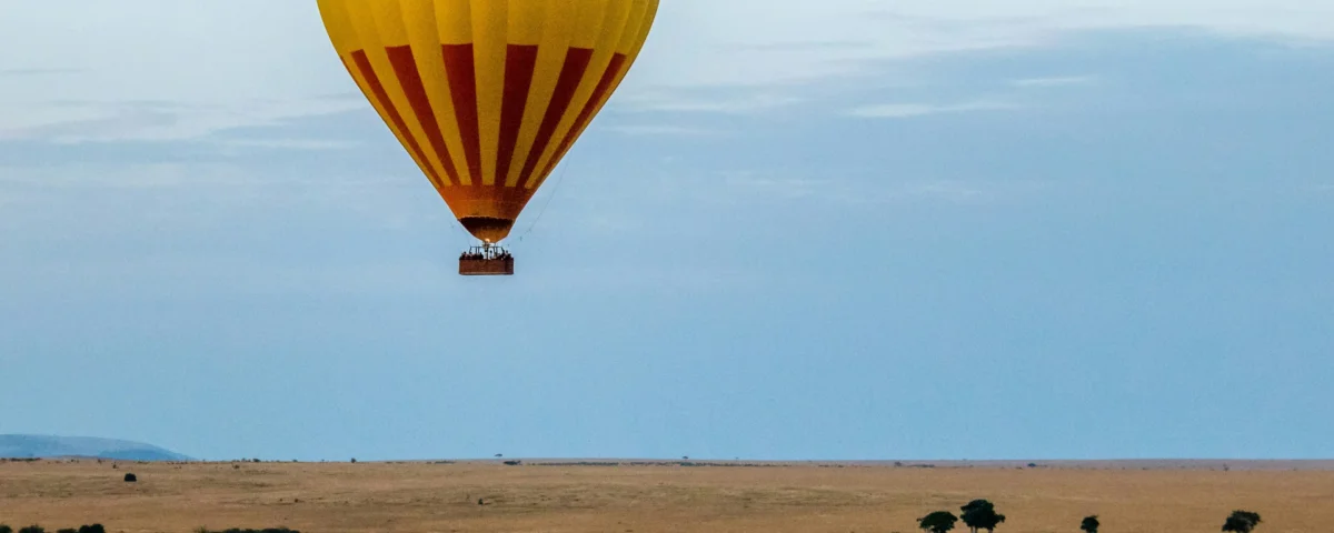 Kenya Safari Air Guide