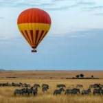 Kenya Safari Air Guide