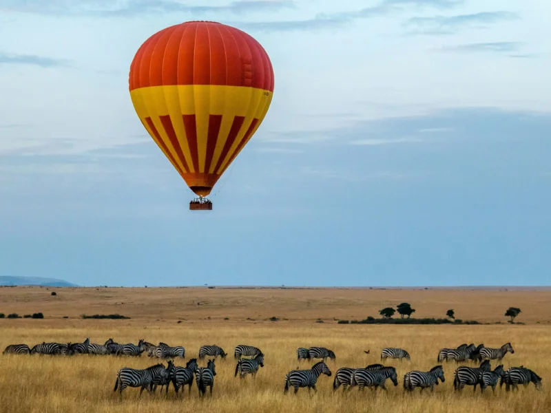 Kenya Safari Air Guide