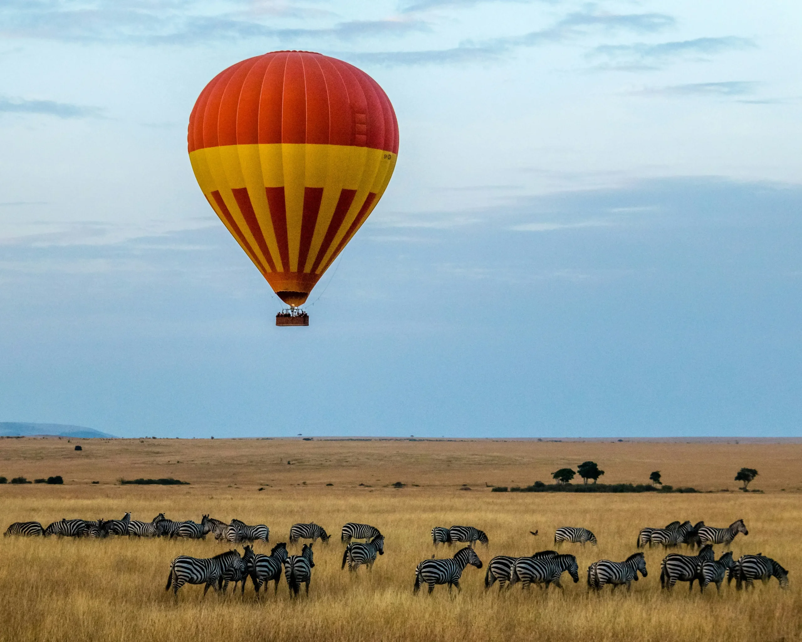 Kenya Safari Air Guide