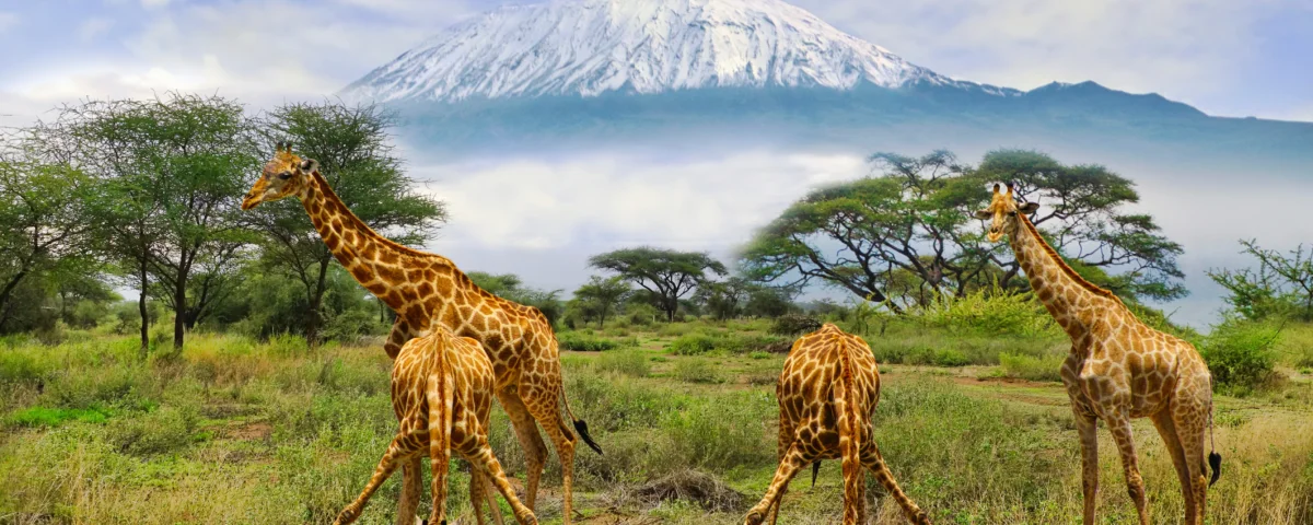 Kenya Safari Custom Itineraries