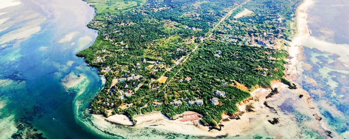 Kenya Safari Ecosystem Diversity