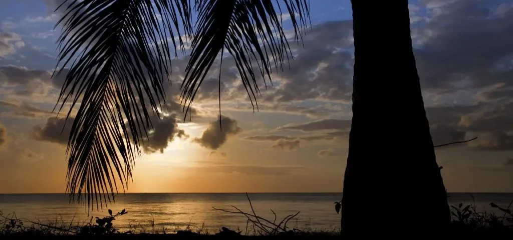 Kenya Safari Sunset Experiences