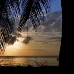 Kenya Safari Sunset Experiences
