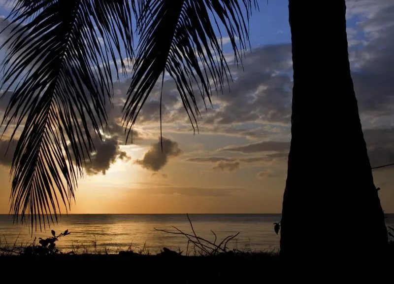 Kenya Safari Sunset Experiences