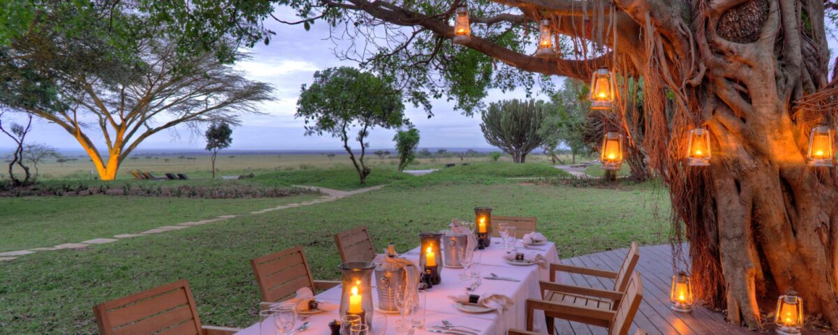 Kenya Safari Volunteer Tours