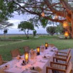 Kenya Safari Volunteer Tours