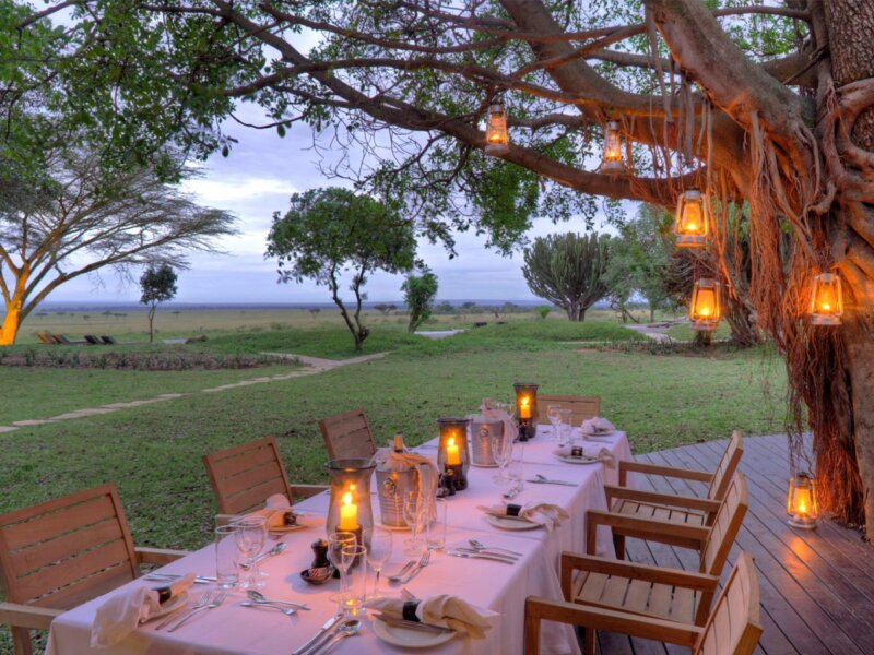 Kenya Safari Volunteer Tours