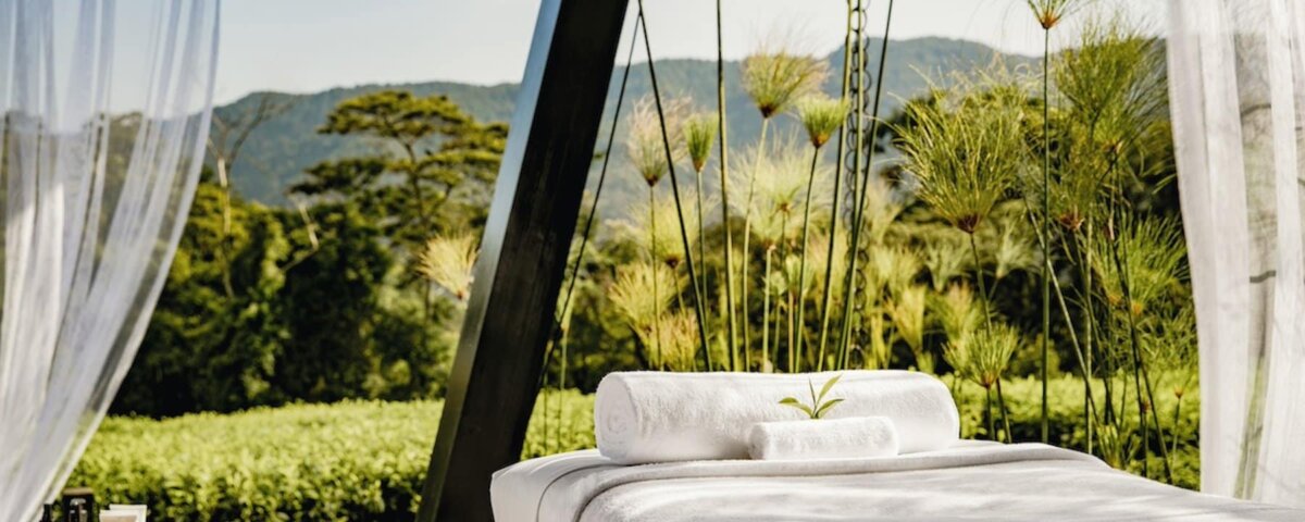 Kenya Safari Wellness Retreats