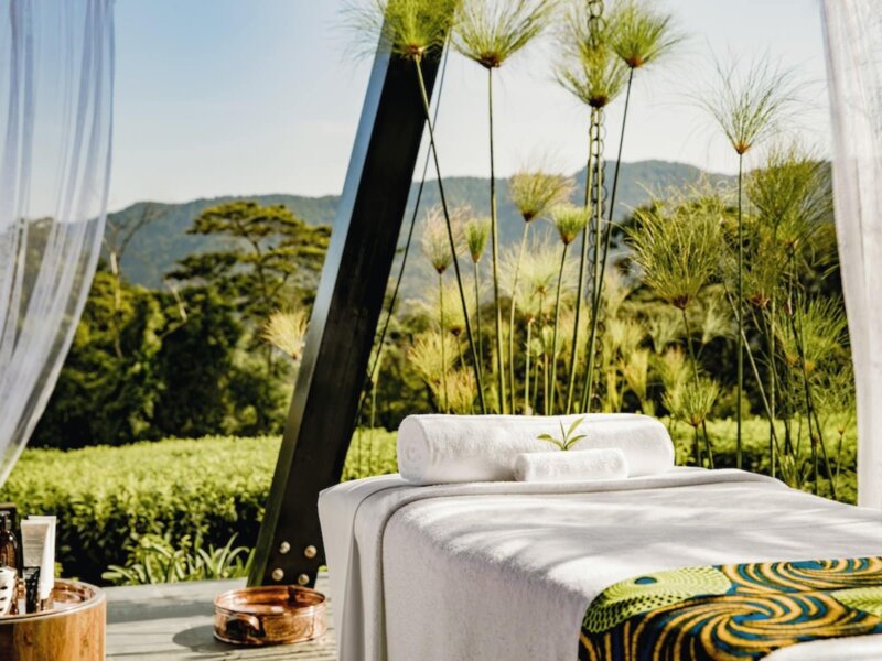 Kenya Safari Wellness Retreats