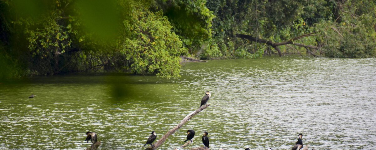 Tanzania Safari around Lake Duluti