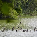 Tanzania Safari around Lake Duluti
