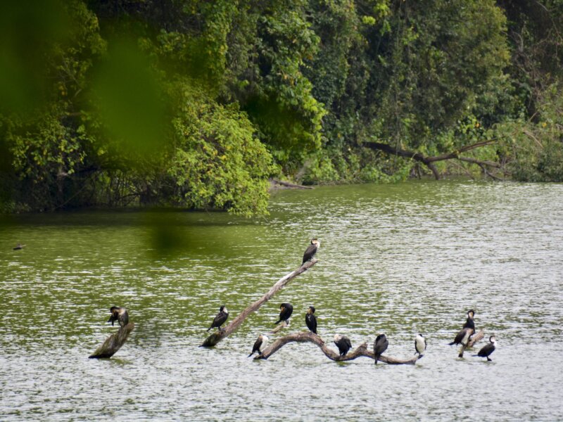 Tanzania Safari around Lake Duluti