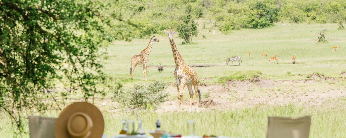 Tanzania Bush Breakfast Safari Tours
