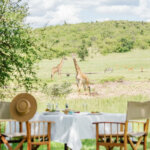 Tanzania Bush Breakfast Safari Tours