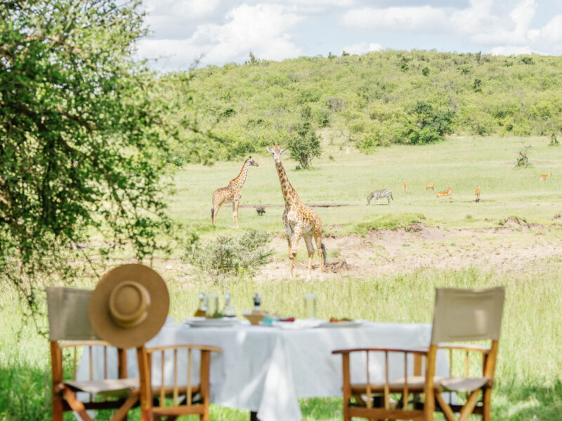 Tanzania Bush Breakfast Safari Tours