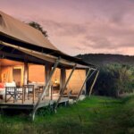 Luxury Safaris in Maasai Mara
