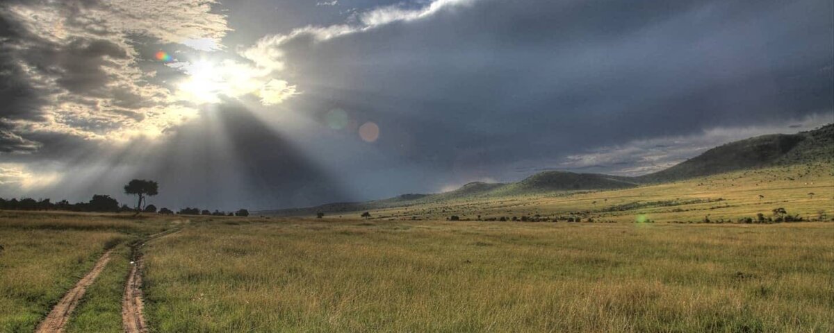 Maasai Mara Complete Guide