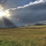 Maasai Mara Complete Guide