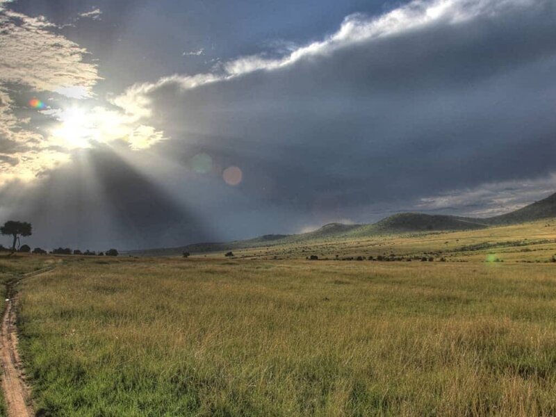 Maasai Mara Complete Guide