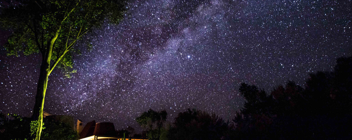 Maasai Mara Night Options