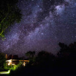 Maasai Mara Night Options