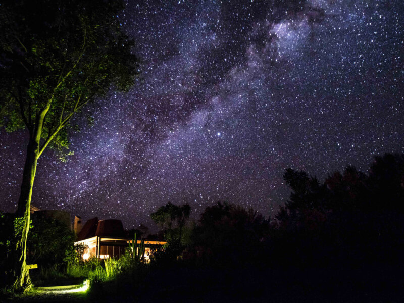 Maasai Mara Night Options