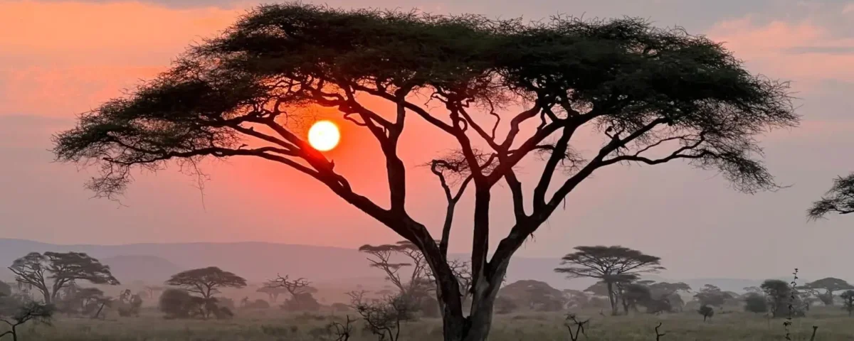 Maasai Mara Safari FAQs