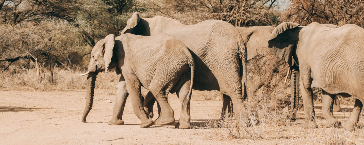 Maasai Mara Travel Tip