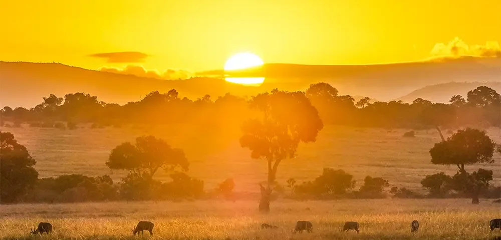 Maasai Mara Travel Tips