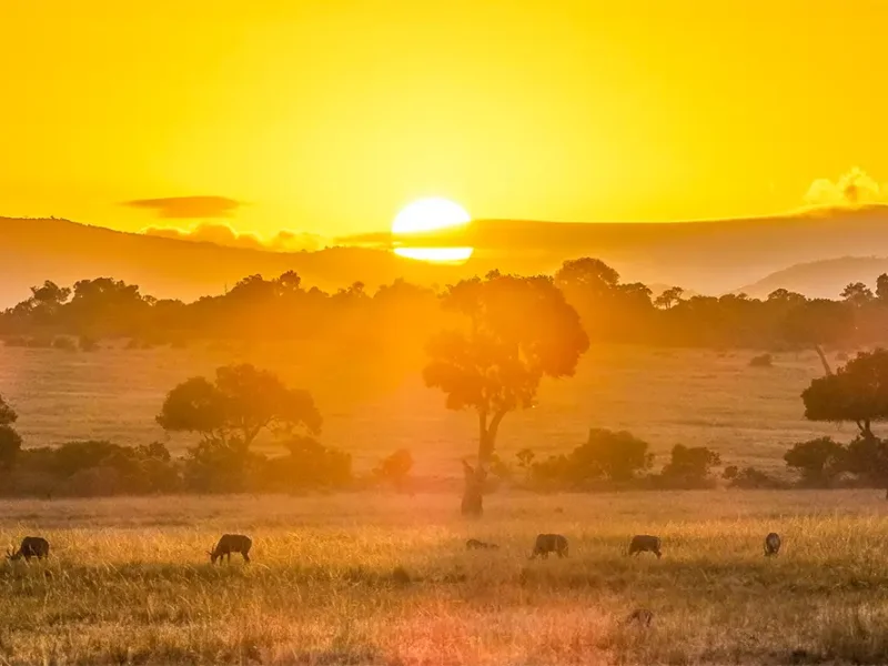 Maasai Mara Travel Tips