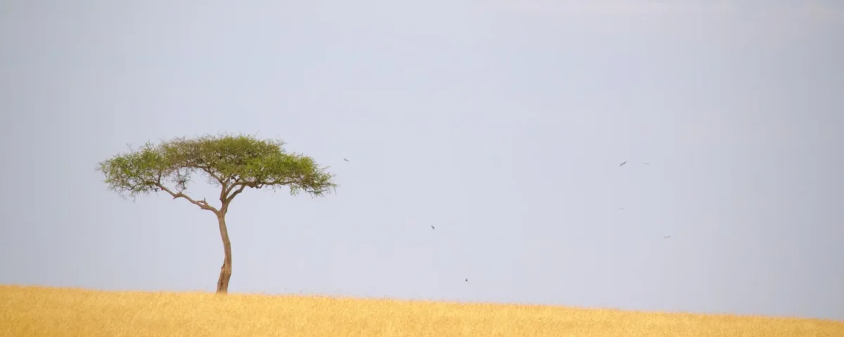 Maasai Mara Wildlife Checklist