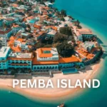 Tanzania Safari and Pemba Island Holidays