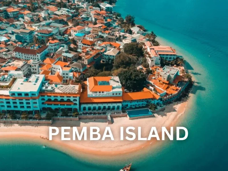 Tanzania Safari and Pemba Island Holidays