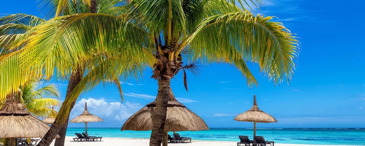 Eastern Circuit Tanzania Safari Tours – Best Coastal & Cultural Safari Experience