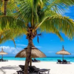 Eastern Circuit Tanzania Safari Tours – Best Coastal & Cultural Safari Experience