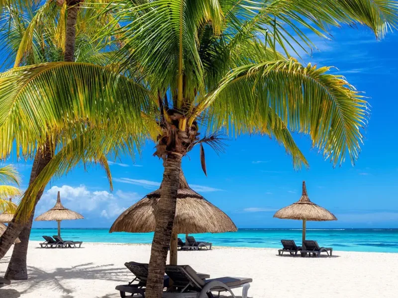 Eastern Circuit Tanzania Safari Tours – Best Coastal & Cultural Safari Experience