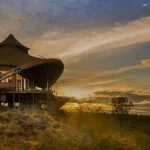Mid-Range Kenya Safaris