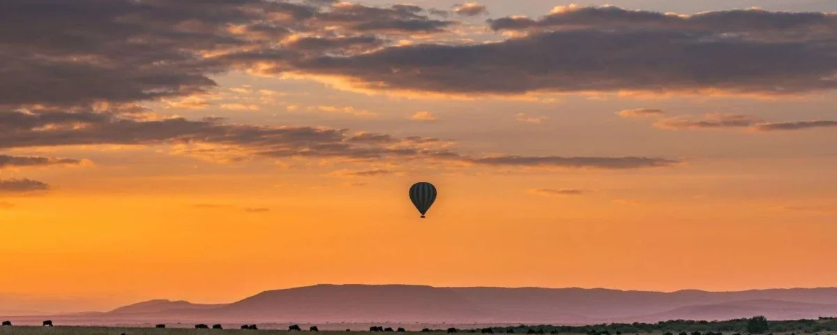 Migration Safari Planning Guide