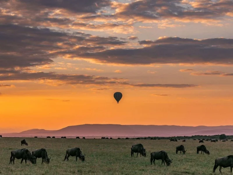 Migration Safari Planning Guide