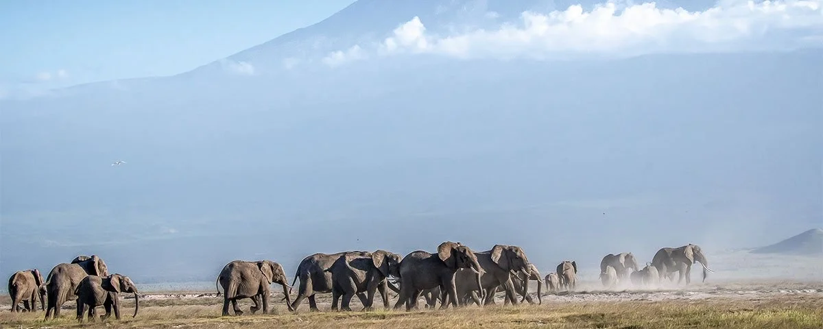 Mount Kenya National Park