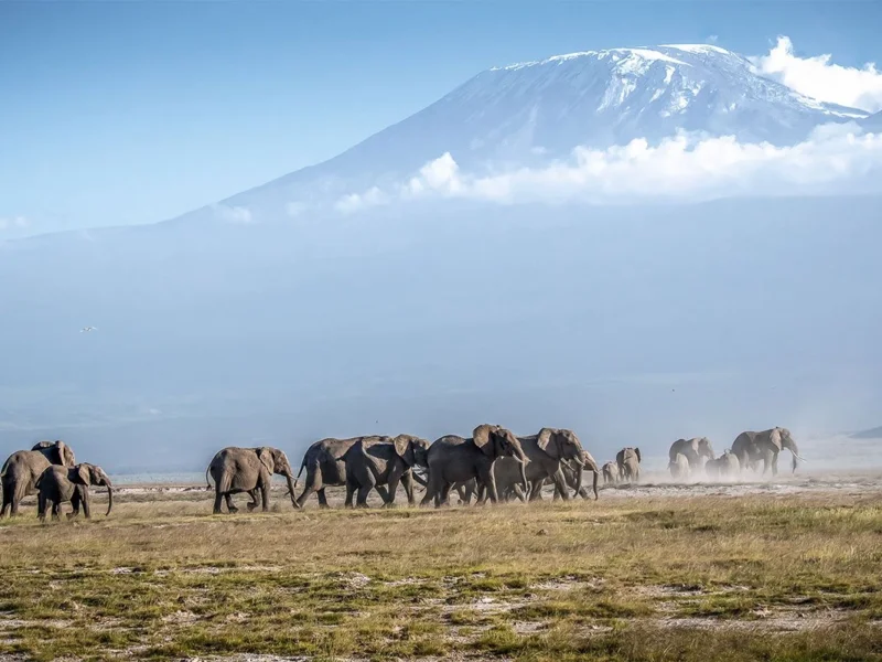 Mount Kenya National Park