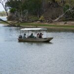 Nyerere National Park Safari Tours