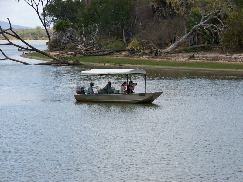Nyerere National Park Safari Tours