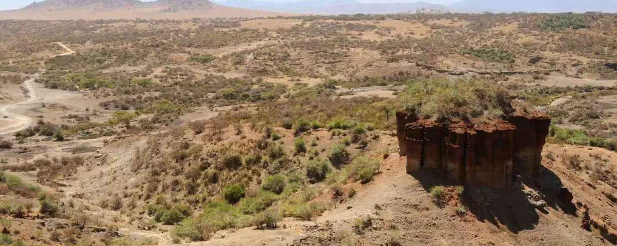 Tanzania Safari and Olduvai Gorge Tours