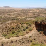 Tanzania Safari and Olduvai Gorge Tours