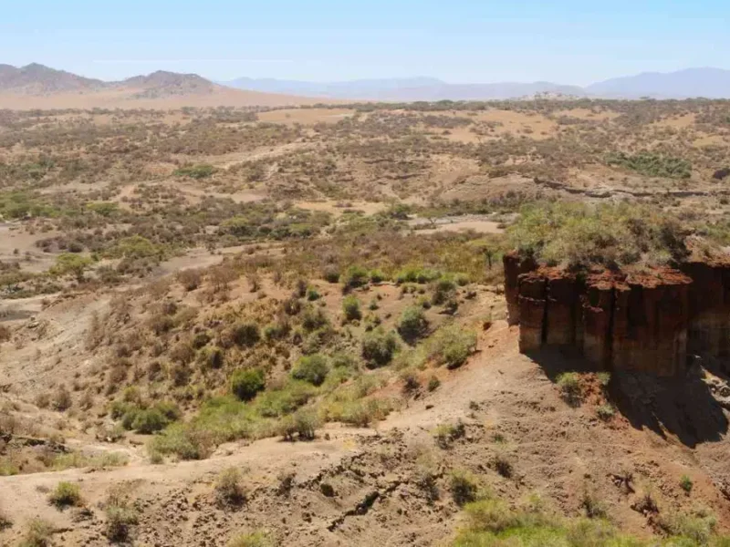 Tanzania Safari and Olduvai Gorge Tours