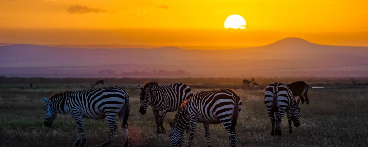 Private Kenya Safaris Explained