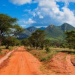 Road Safaris in Kenya