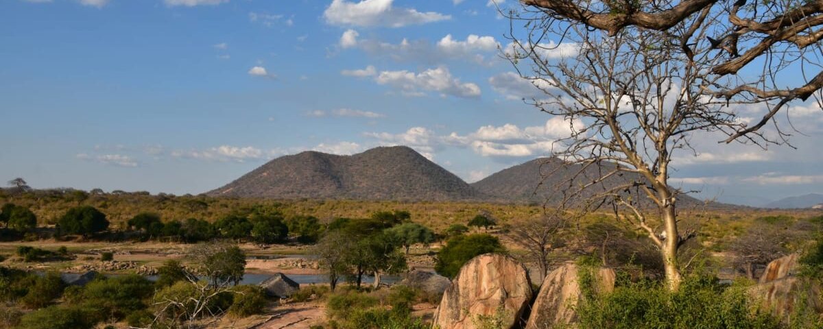 Ruaha Safaris – Explore the Wild Beauty of Ruaha National Park